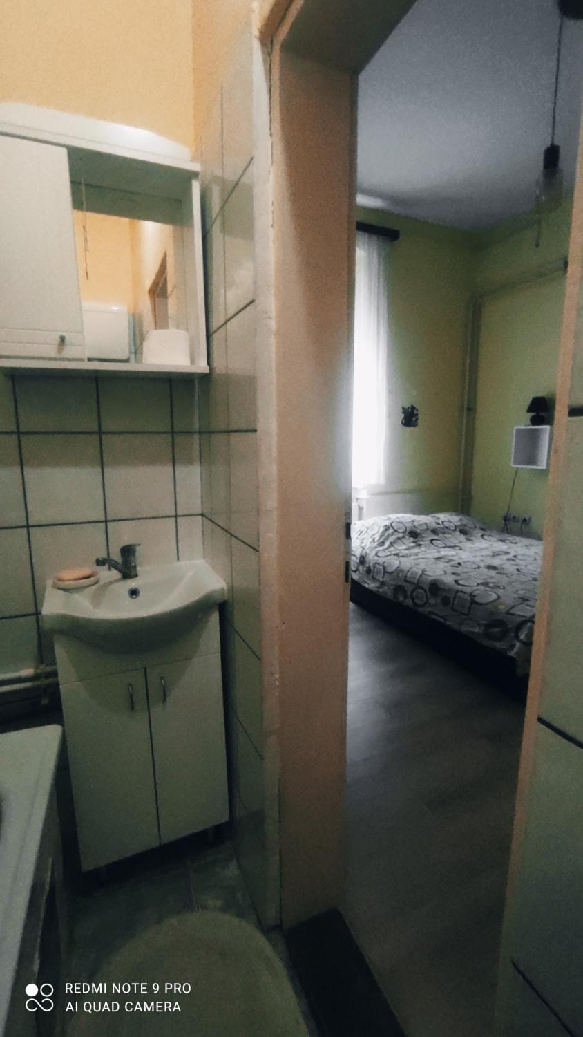Centar Apartman Trivanović sa velikom i malom sobom Apartment in Novi Sad