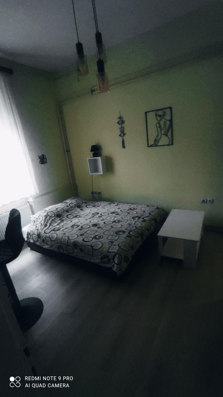 Centar Apartman Trivanović sa velikom i malom sobom Apartment in Novi Sad