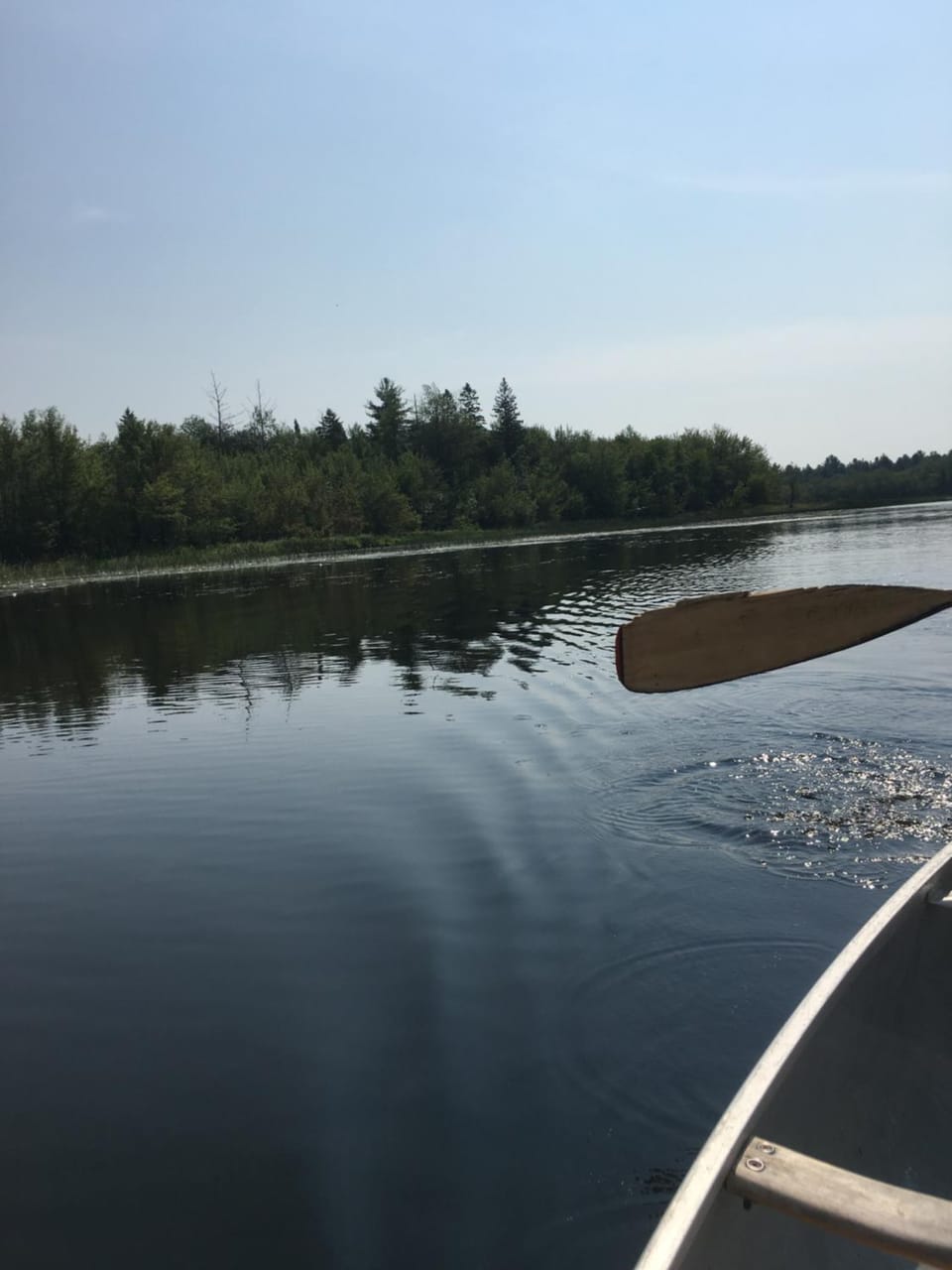 Natural landscape, Activities, River view