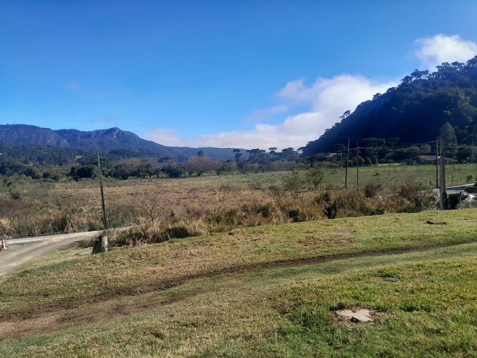 Natural landscape