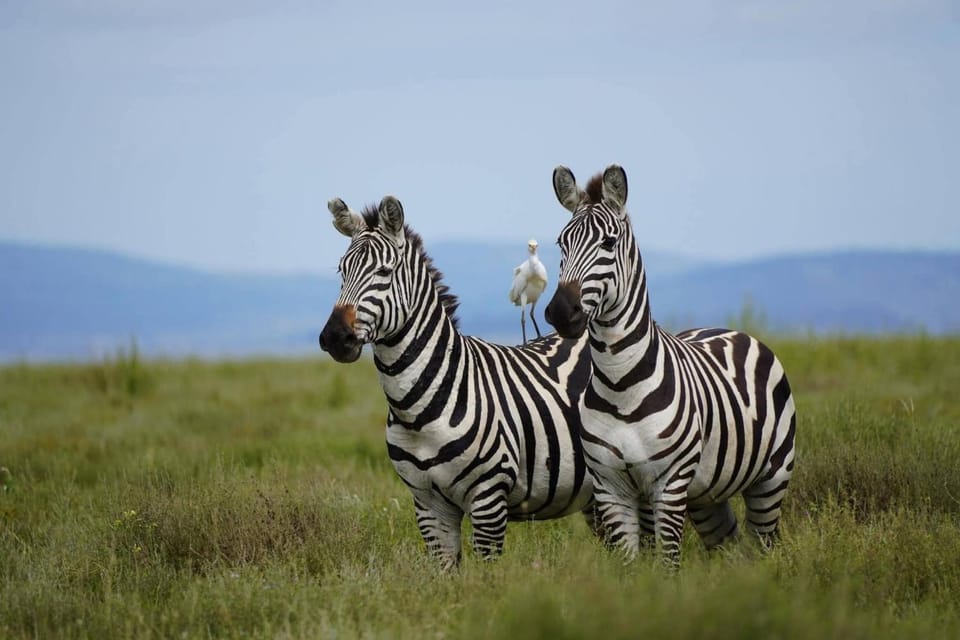 Nyirenda Homestay Kilimanjaro Bed and Breakfast in Tanzania