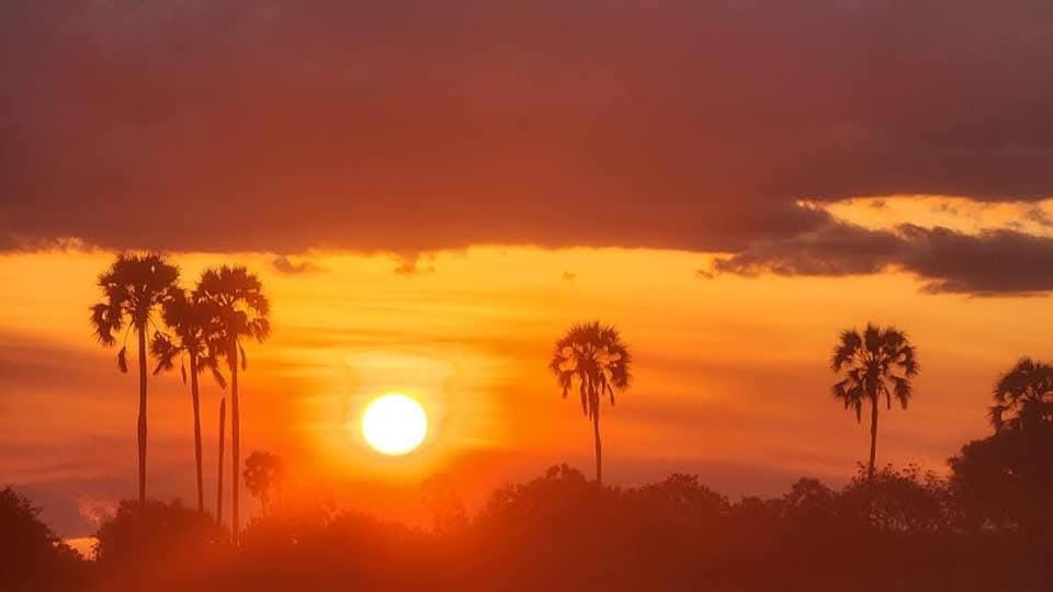 Nyirenda Homestay Kilimanjaro Bed and Breakfast in Tanzania
