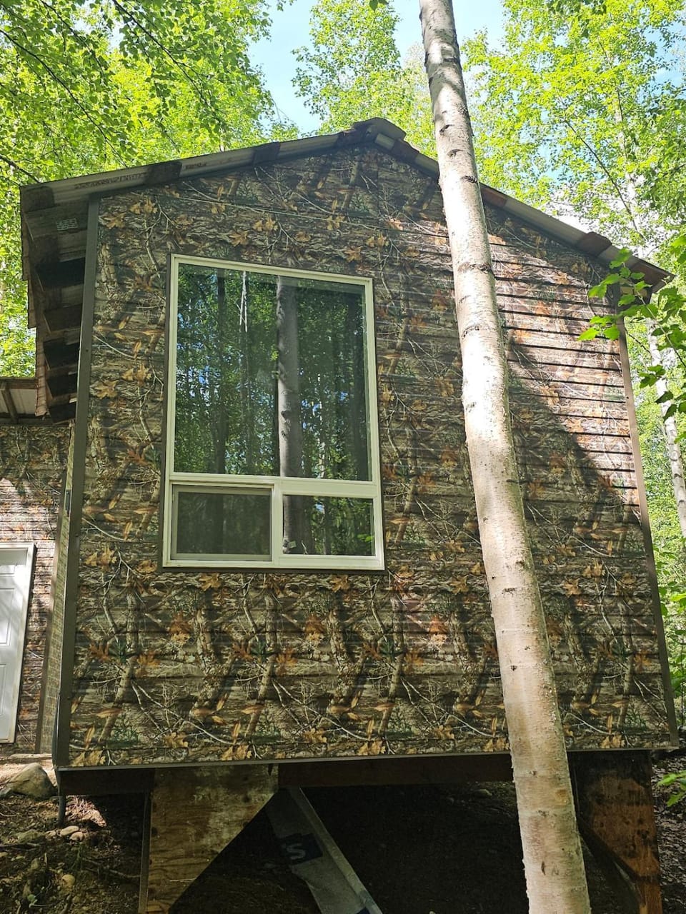 Property building, Day, Natural landscape