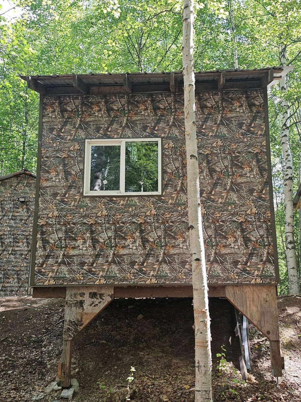 Property building, Day, Natural landscape