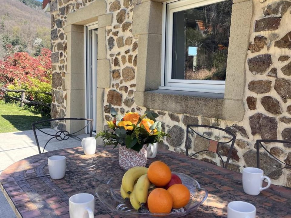 Gîte spacieux et moderne avec terrasse au cœur de la nature - FR-1-496-363 House in Auvergne-Rhône-Alpes