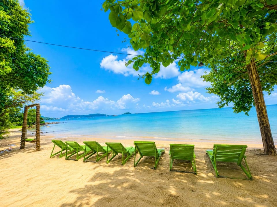 Beach, Beach