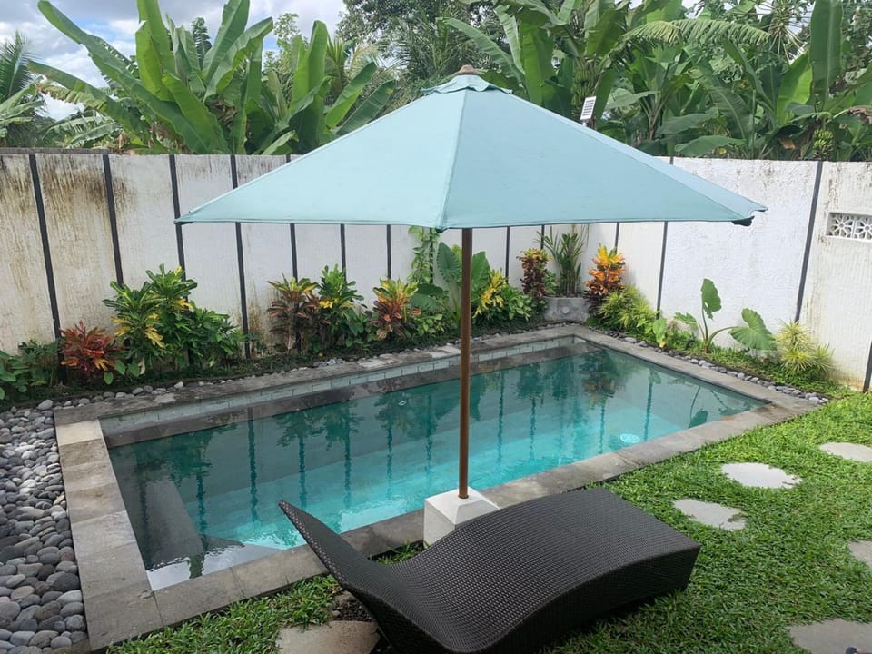 Garden, Garden view, Pool view, Swimming pool