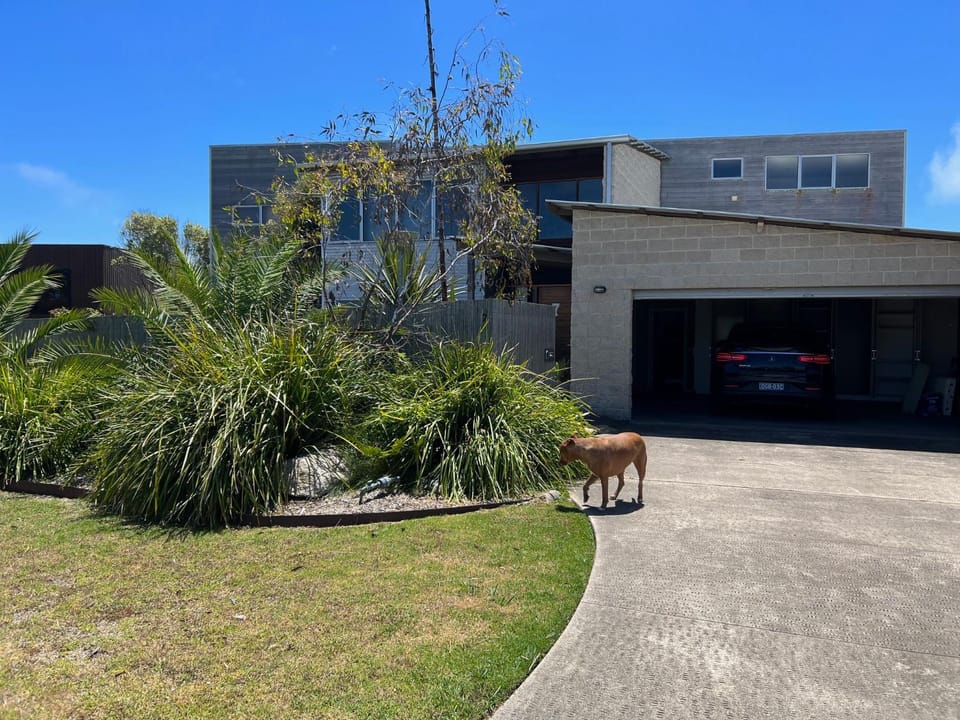 Property building, Beach, Street view, Area and facilities, Family, Quiet street view, Parking, pet friendly