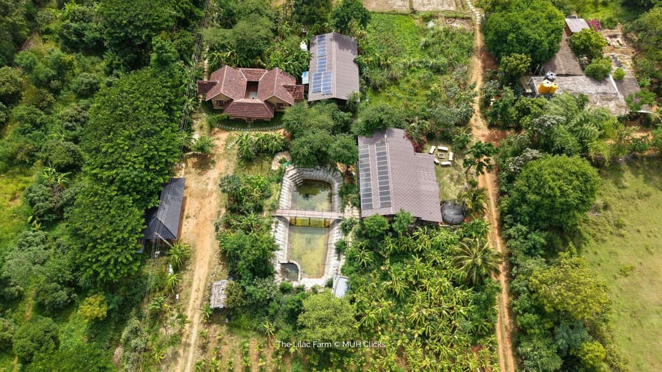 The Lilac Farm Hostel in Karnataka