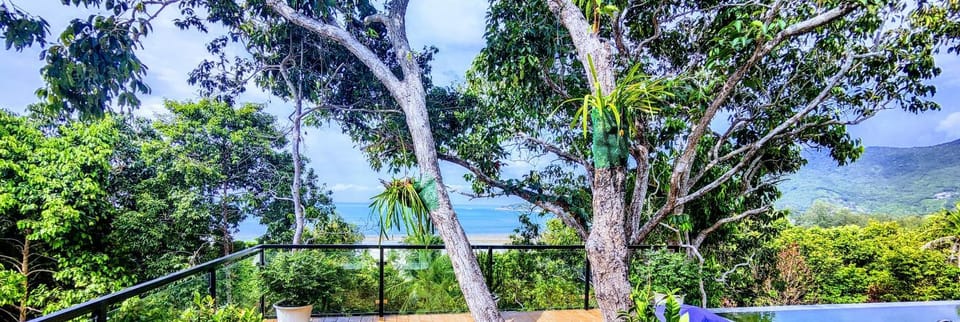 Mountain view, Sea view