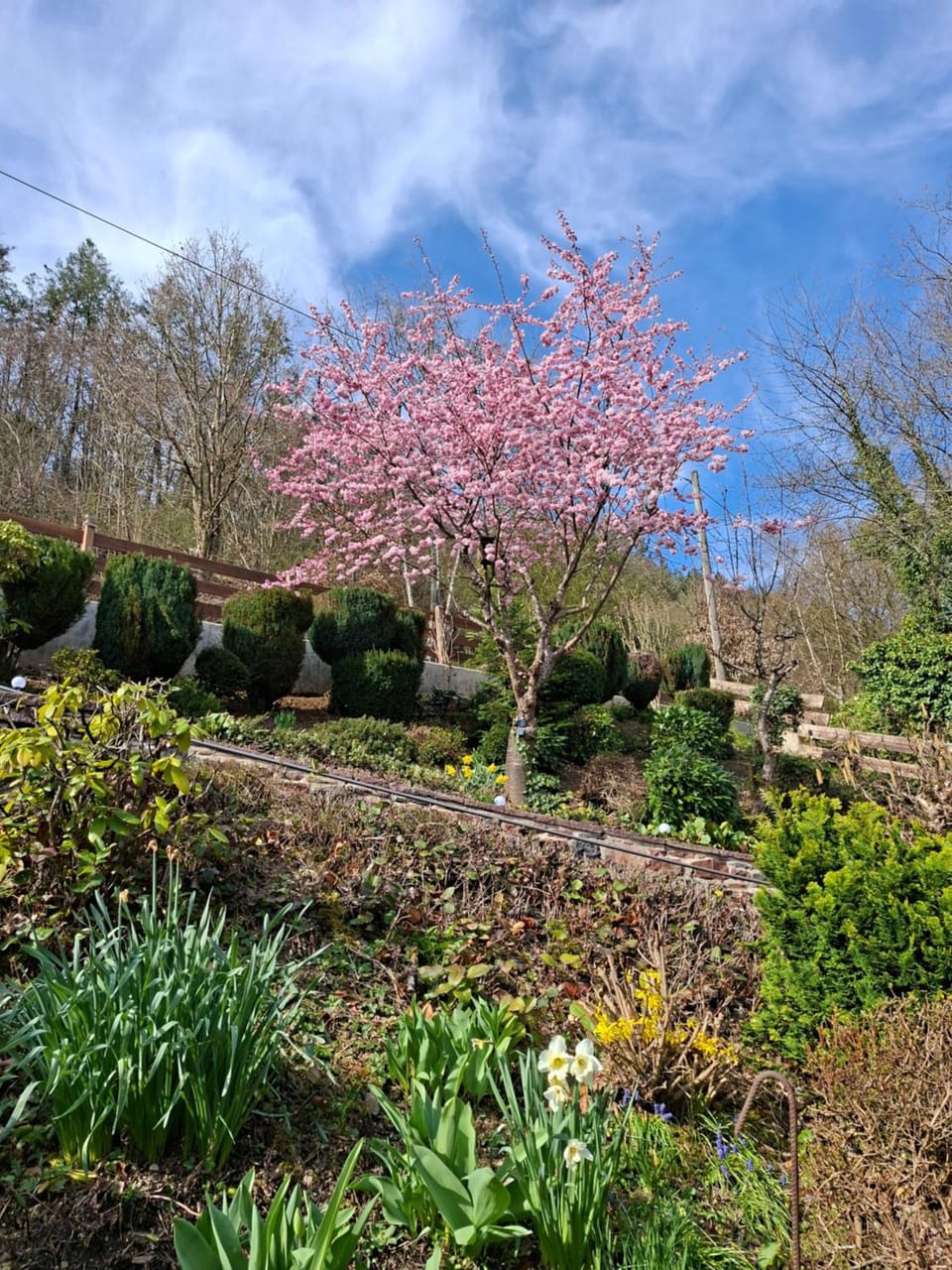 Krez Ferienhaus Apartment in Rhineland-Palatinate