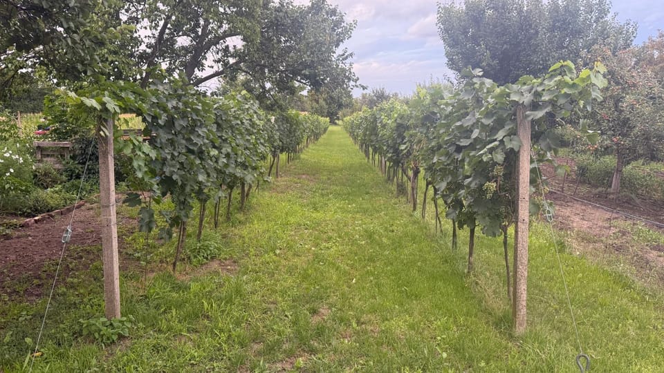 Ubytování U Kocábů Vacation rental in South Moravian Region
