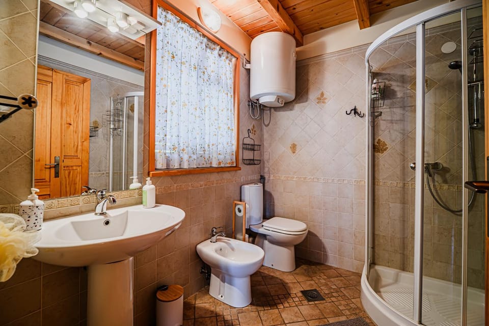 Shower, Toilet, Bathroom, bidet
