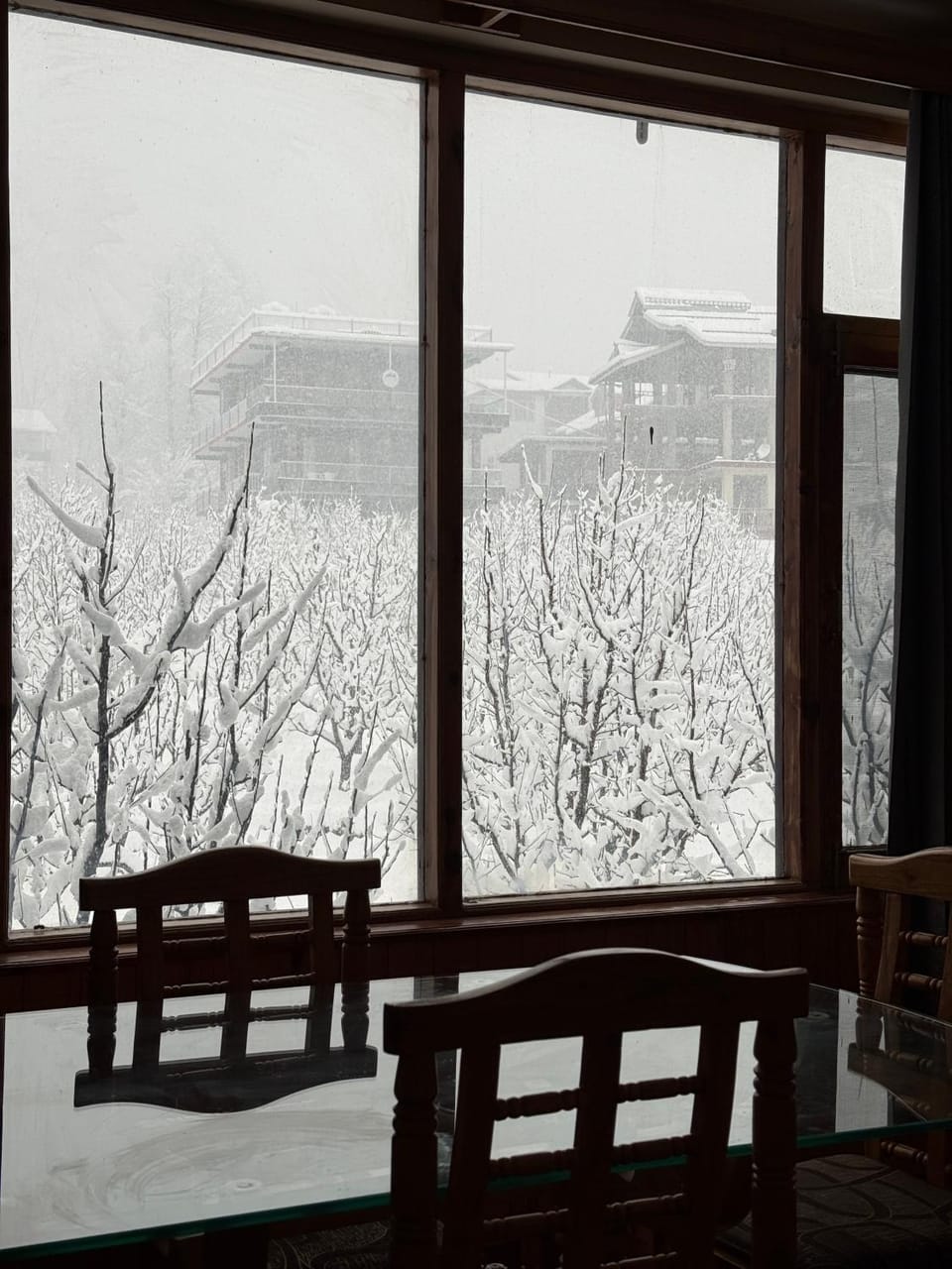 View (from property/room), City view