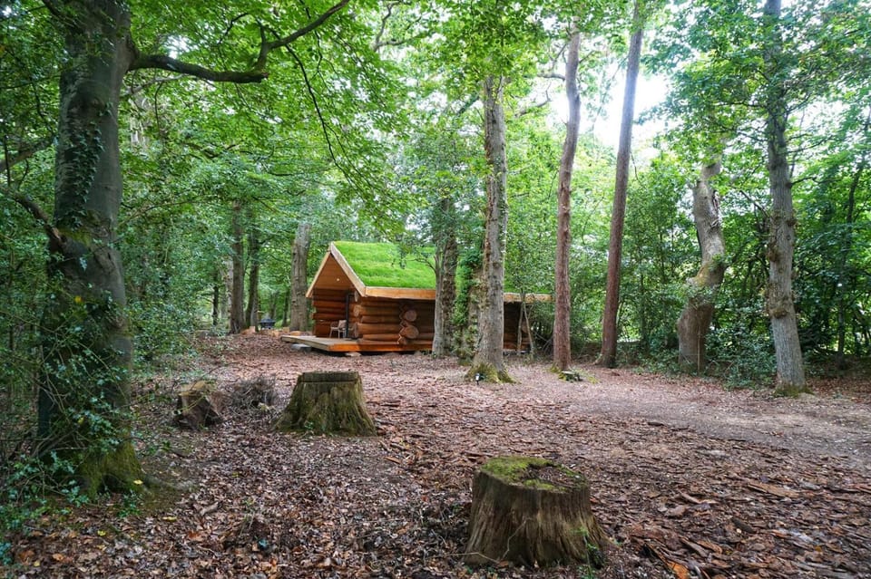 Secluded Hand Crafted Log Cabin Cabin in West Devon District
