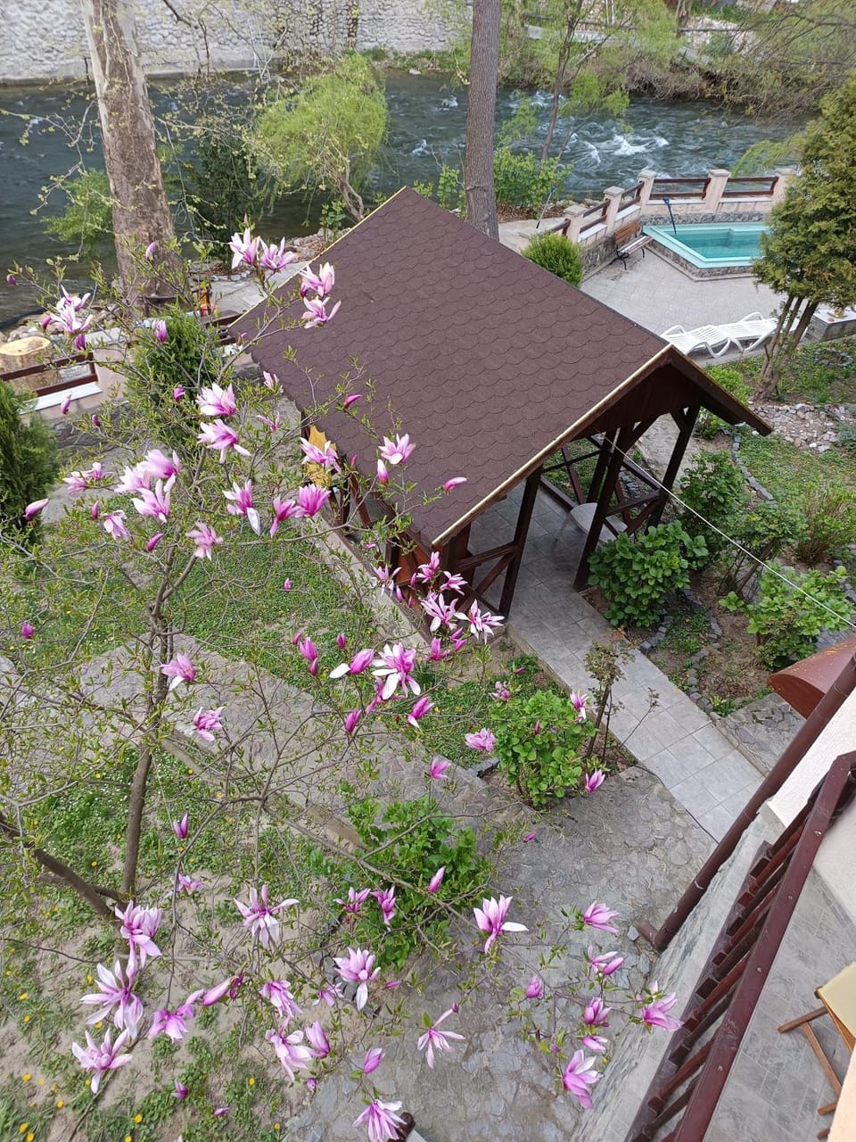 Garden view