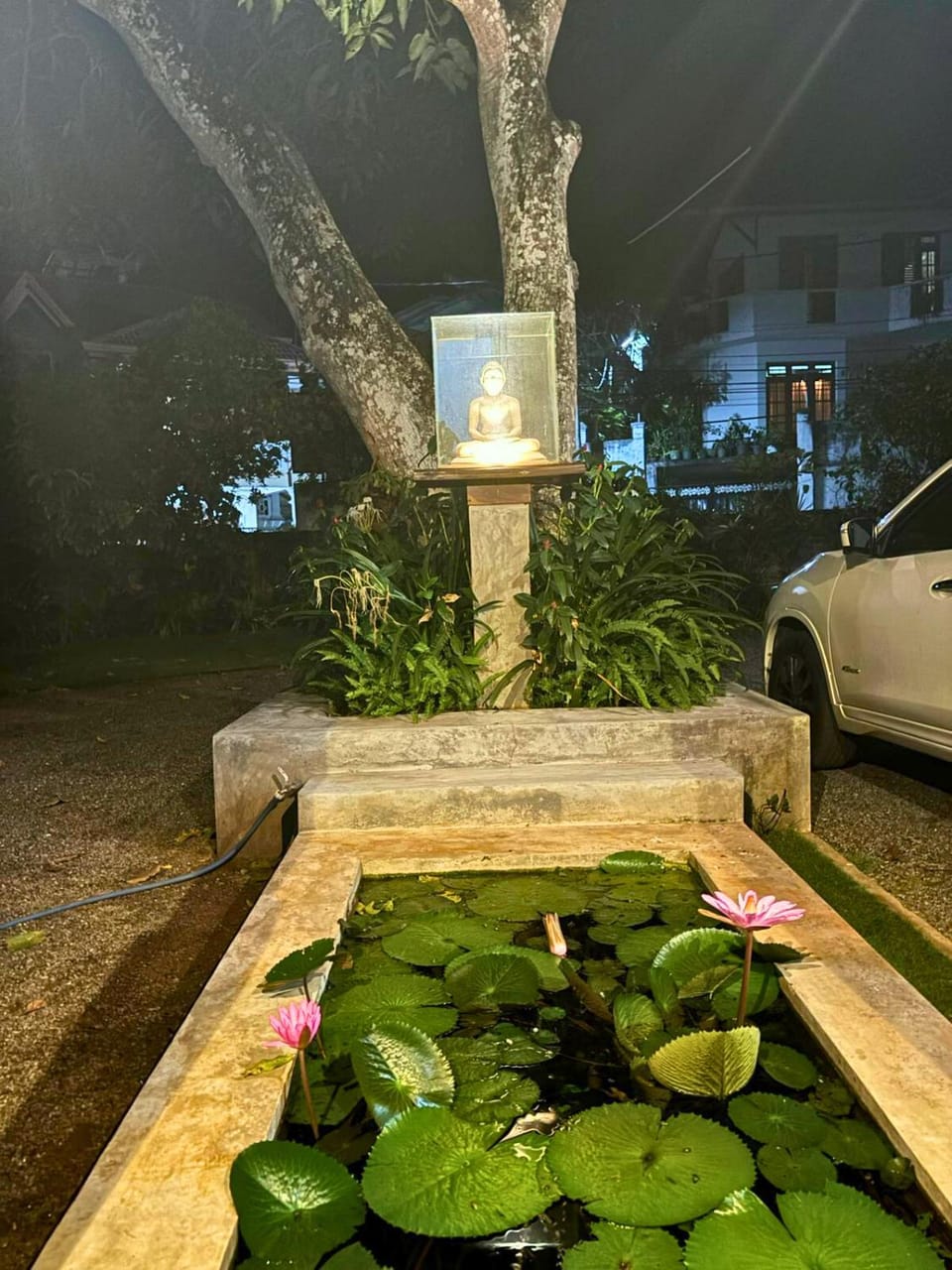 Night, Garden view