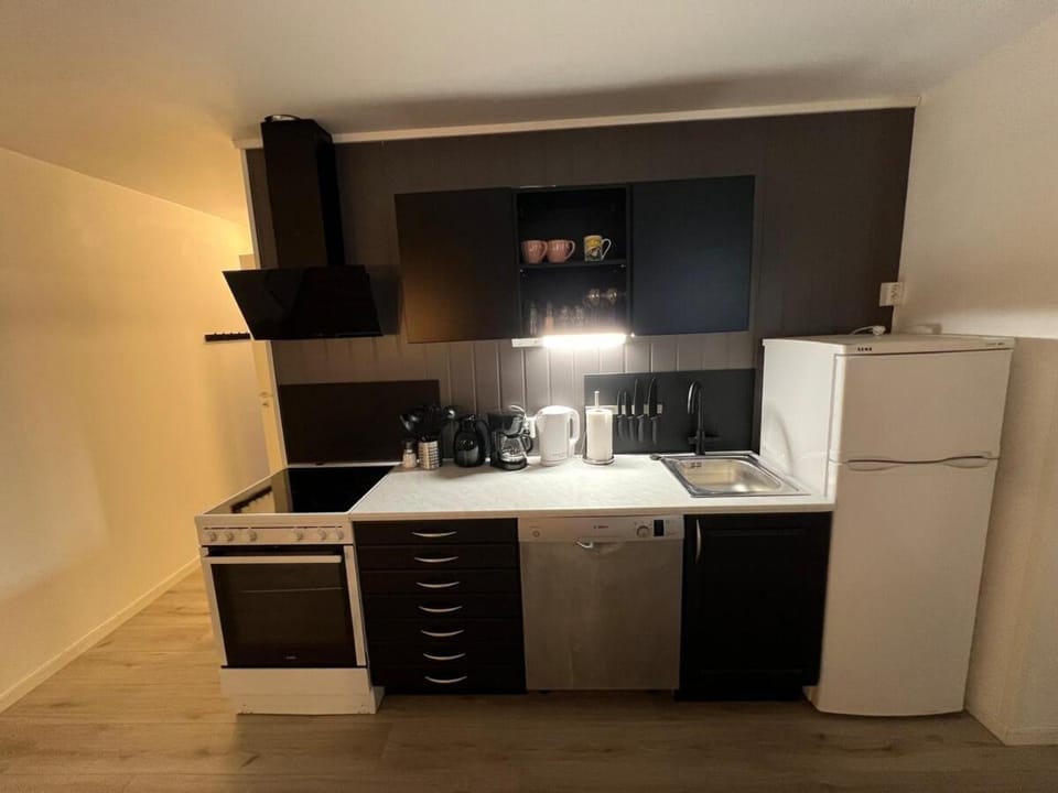 Lunt og trivelig i sentrum Rosa Apartment in Nordland, Norway