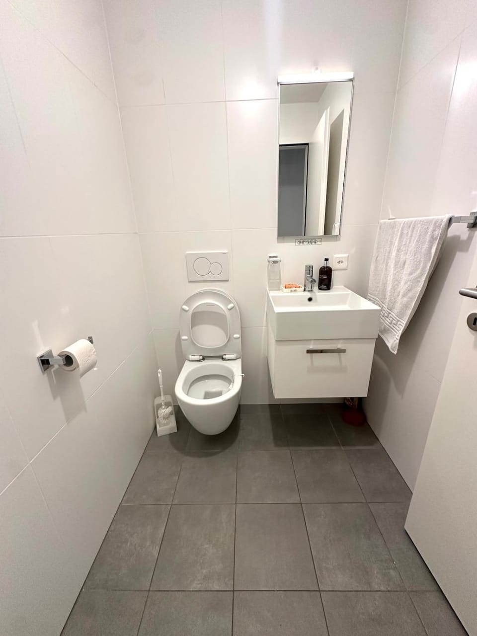 Chic & Stylish Apartment Geneva Apartment in Geneva