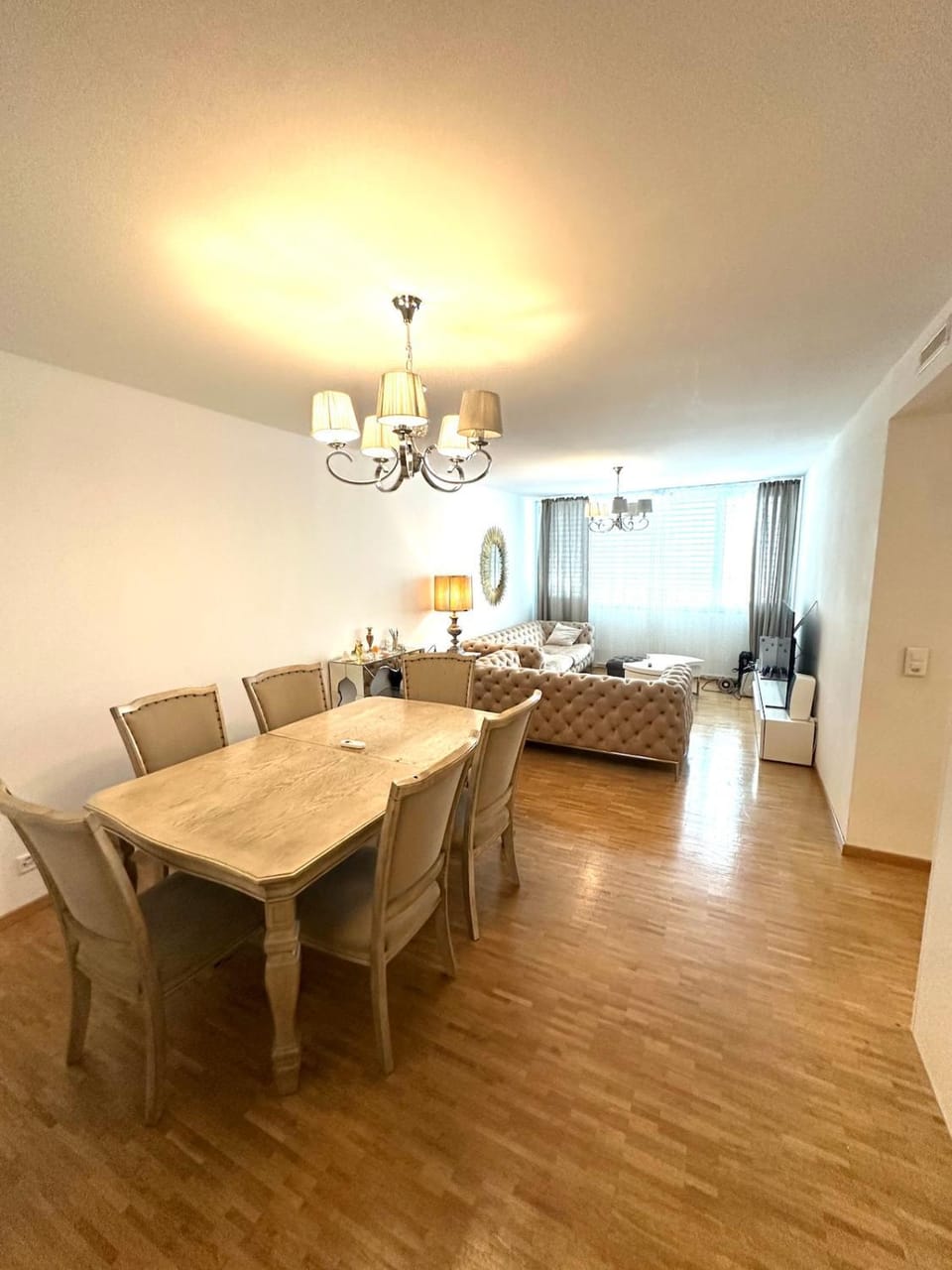 Chic & Stylish Apartment Geneva Apartment in Geneva