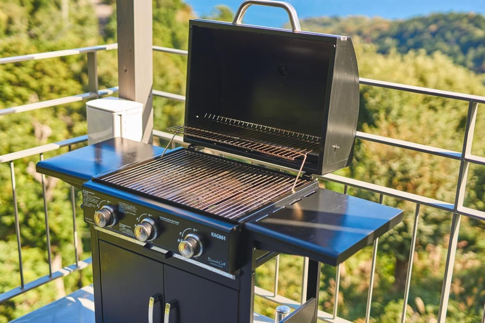 Day, BBQ facilities, Balcony/Terrace