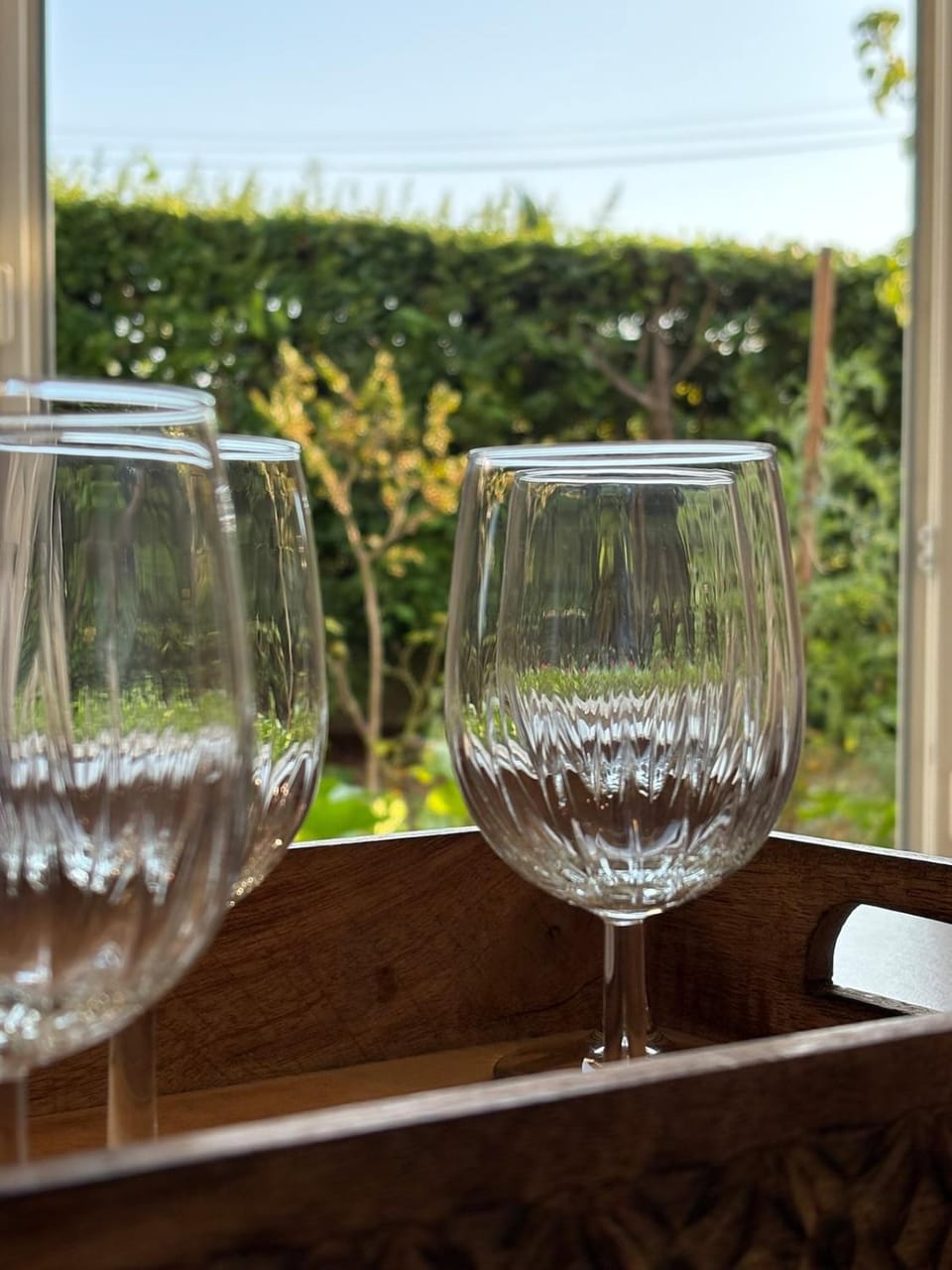 Day, Garden view, Drinks