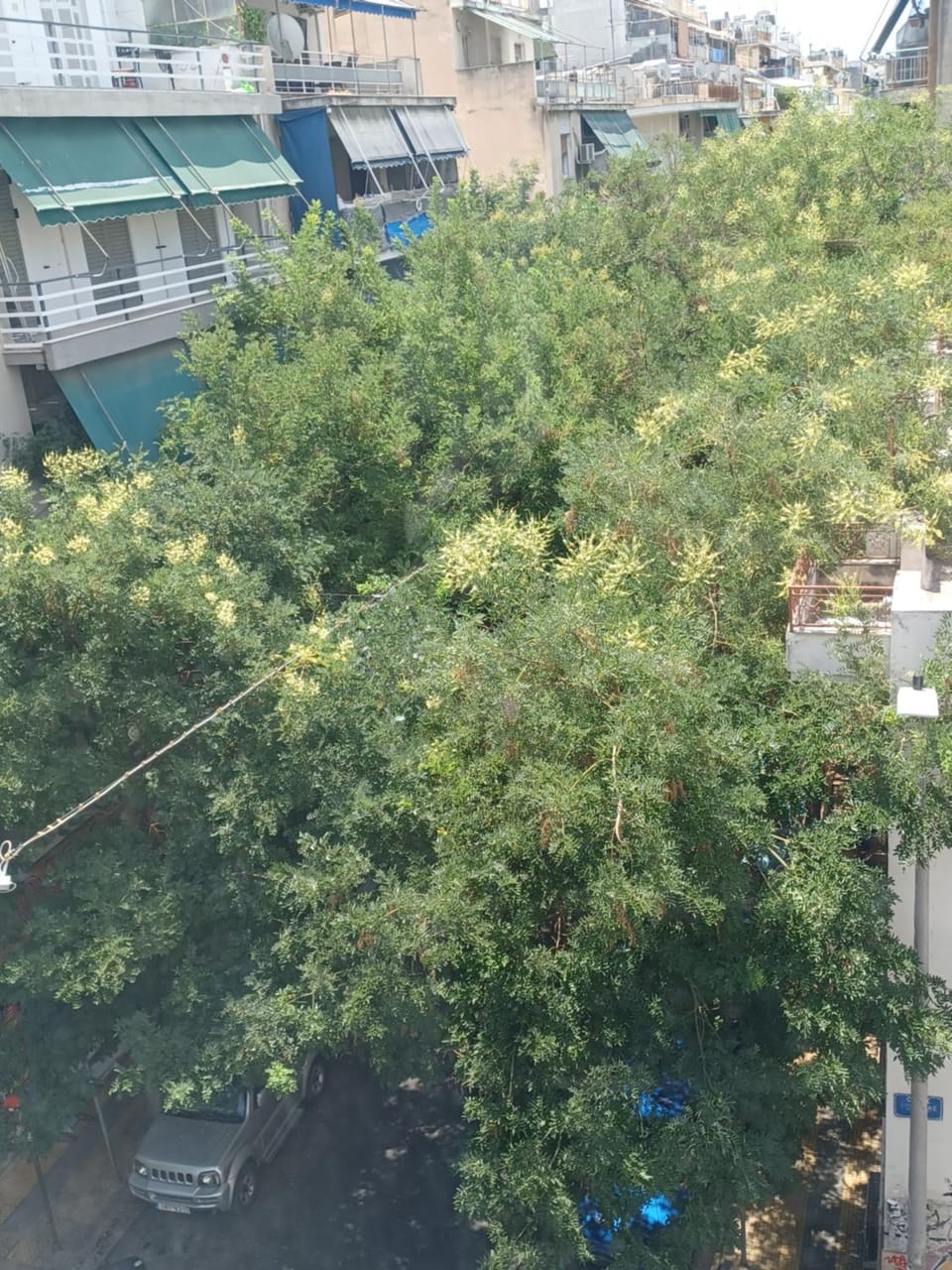Family station Apartment in Athens