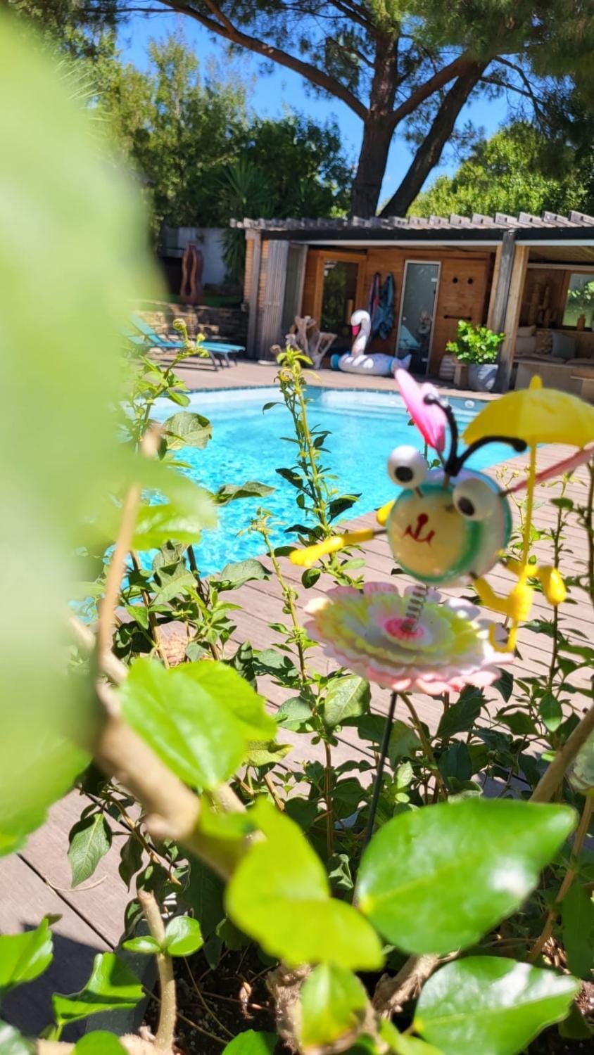 Entre les pins et les oliviers Bed and Breakfast in Bormes-les-Mimosas