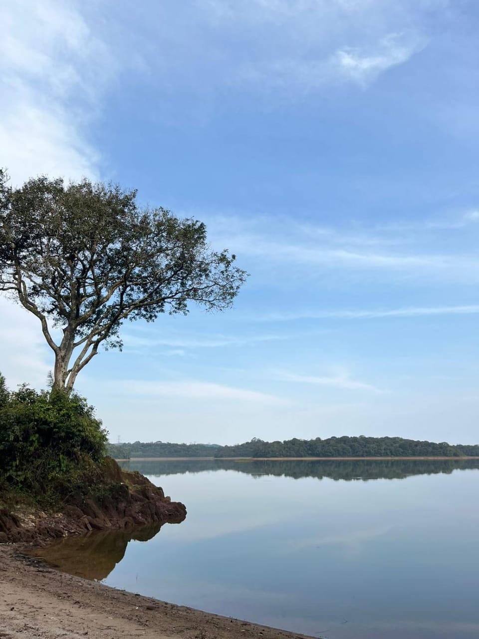 Natural landscape