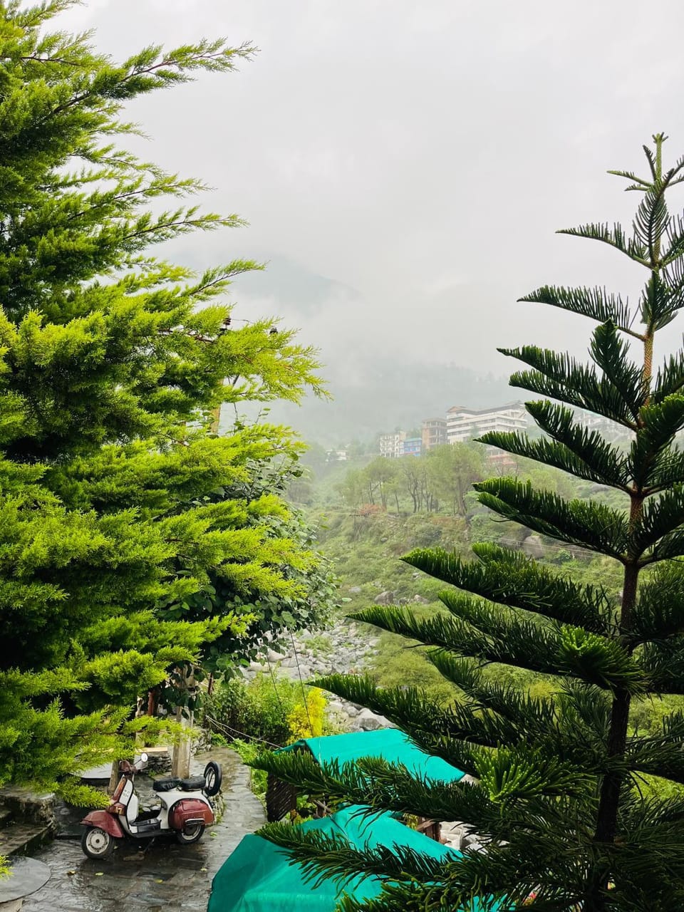 Mountain view