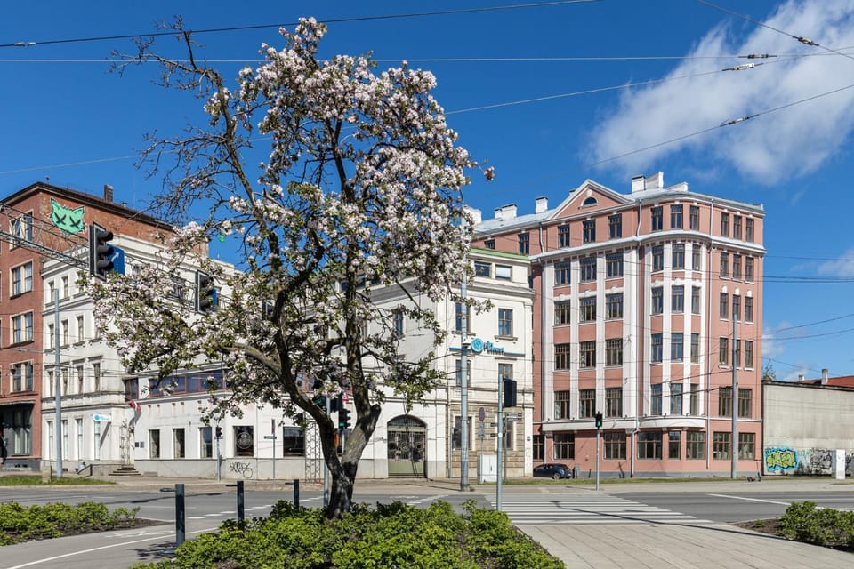 Property building, Spring, Day, Neighbourhood, Location