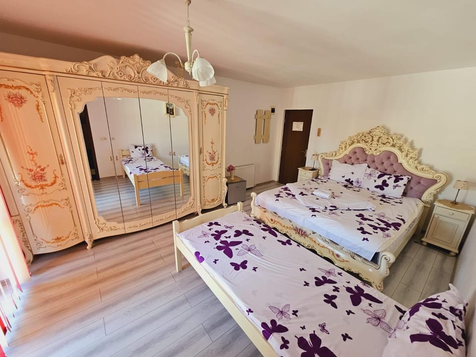 Aliando Bed and Breakfast in Romania
