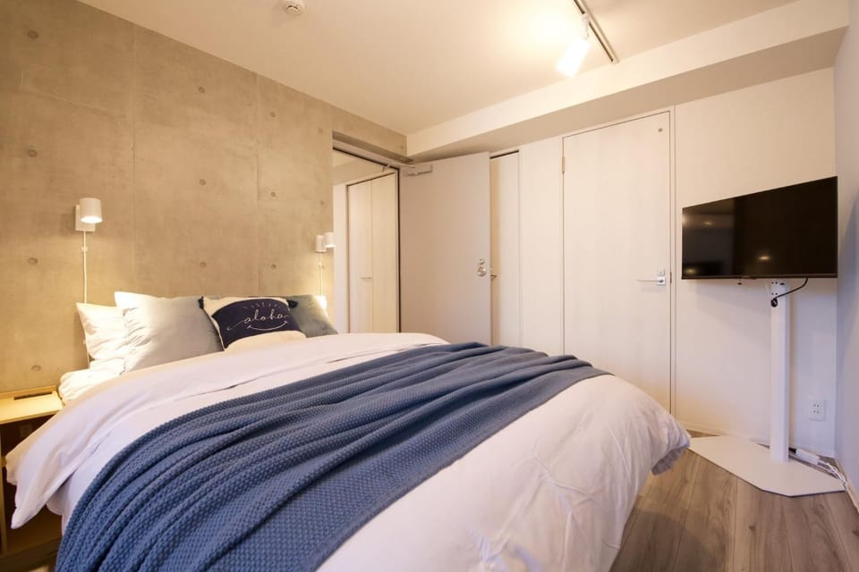 Bed, TV and multimedia, Photo of the whole room, air conditioner