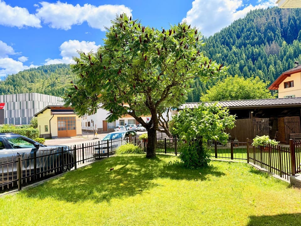 Natural landscape, Garden view, Mountain view