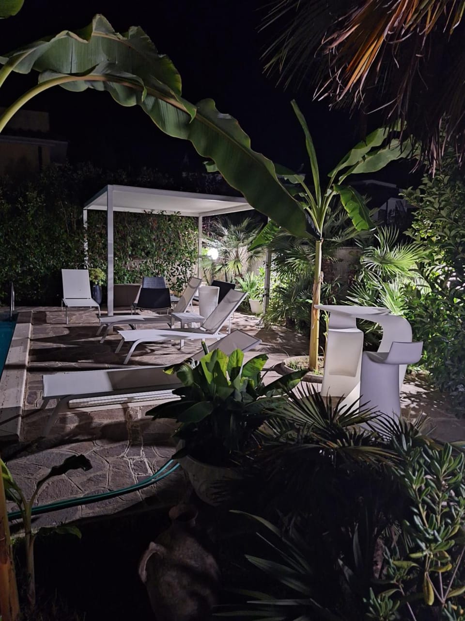 Garden, Swimming pool