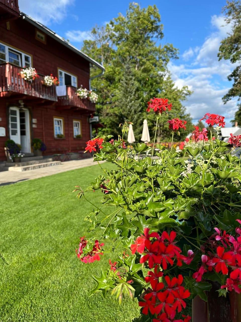 Hotel Večernice Hotel in Czechia