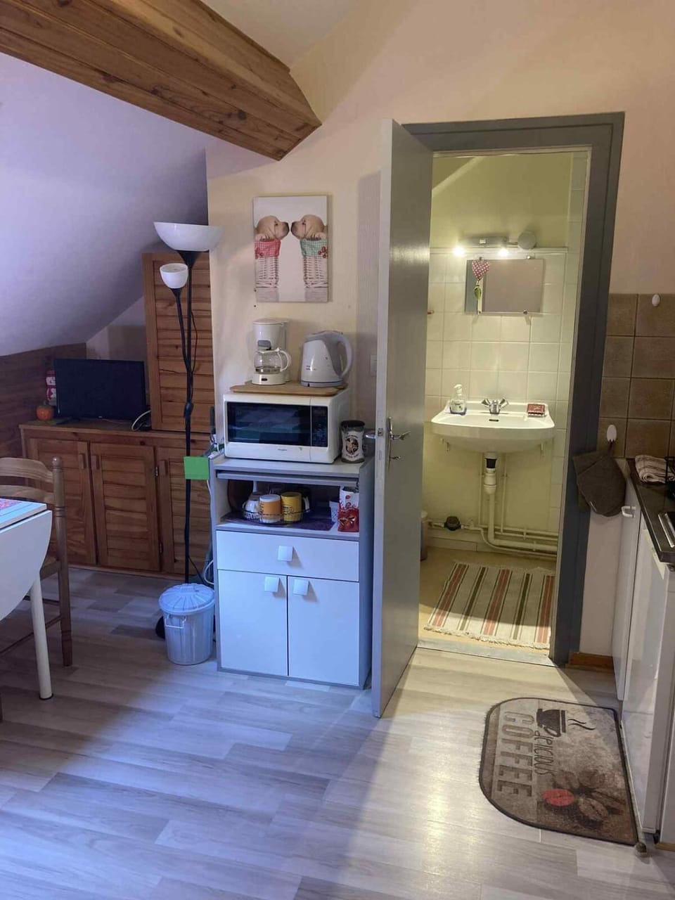 Studio CENTRE Mont Dore, Volière des Pics 2pers15m2 parking Gratuit chemin randonnée Apartment in Auvergne-Rhône-Alpes