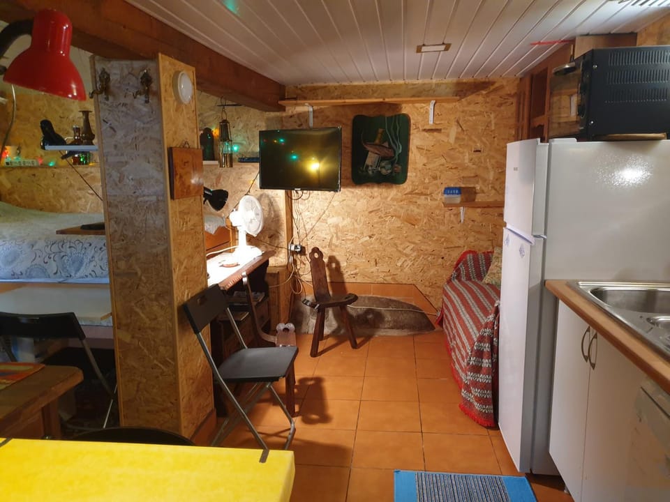 Property building, TV and multimedia, Kitchen or kitchenette, Seating area, oven