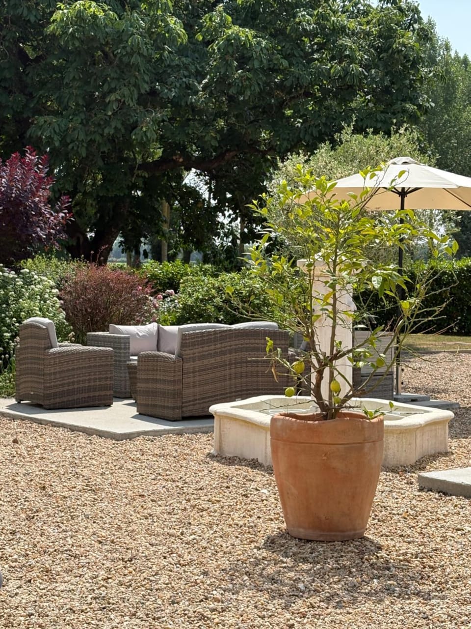 Garden view