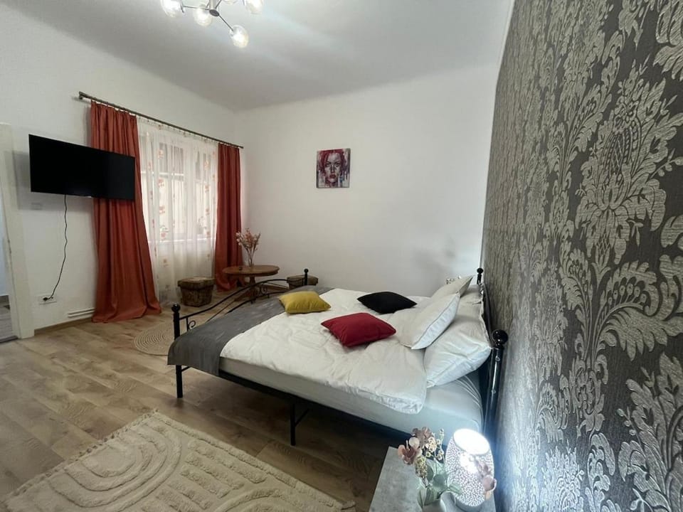 Central Camelia Loft in Cluj Apartment in Cluj-Napoca