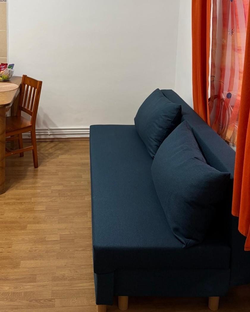Central Camelia Loft in Cluj Apartment in Cluj-Napoca