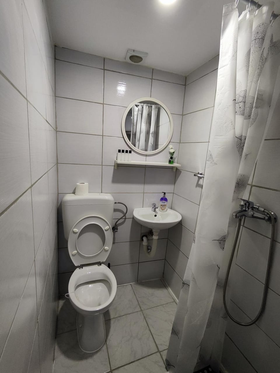 Shower, Toilet, Bathroom
