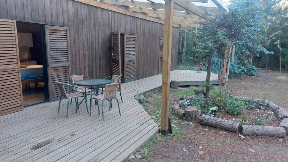 Garden, Balcony/Terrace