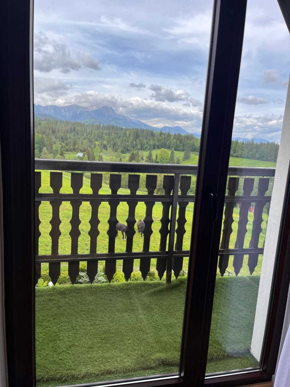 Apartamenty i Pokoje Gościnne U Trebuni Vacation rental in Zakopane