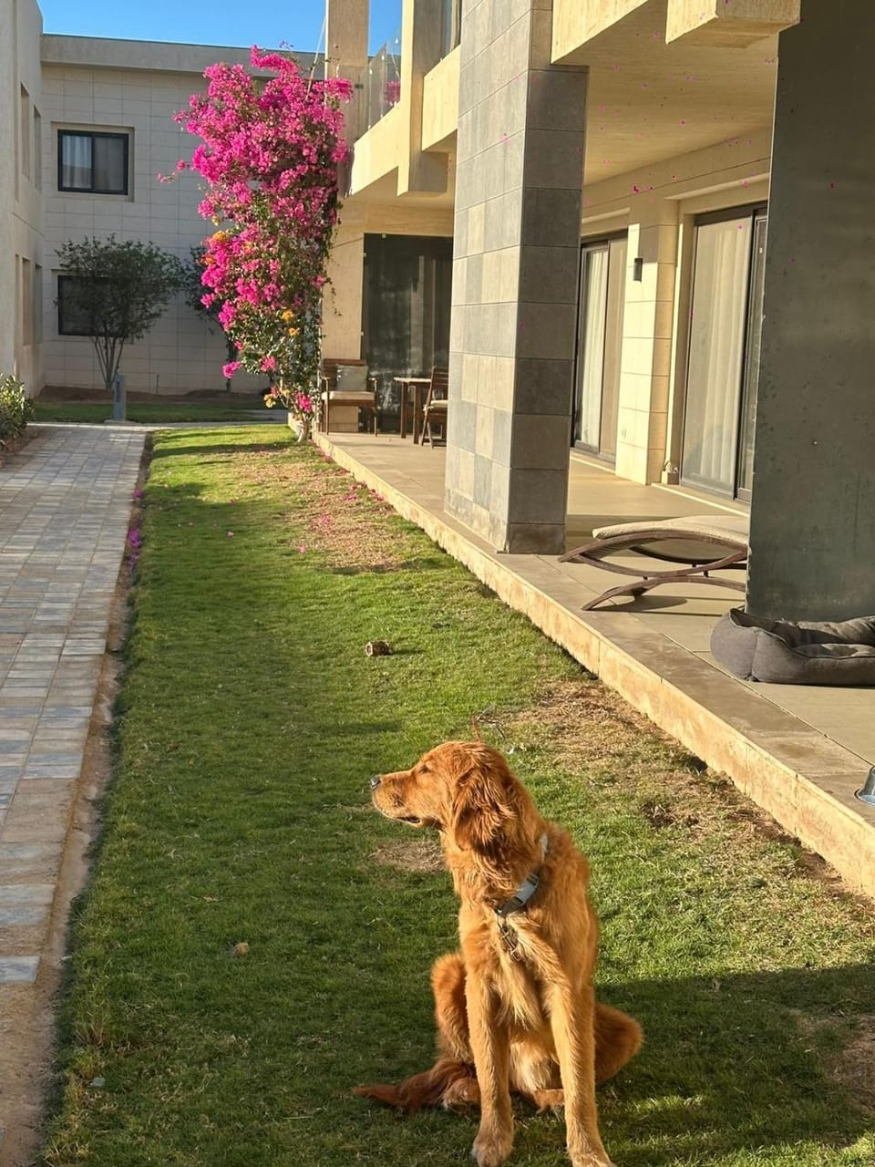 Elgouna G cribs b-7 first floor Apartment in Hurghada