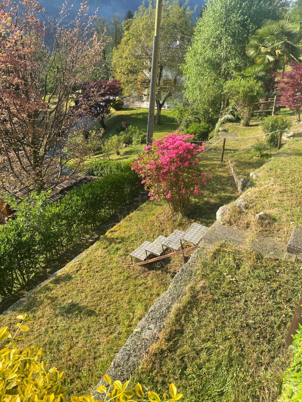 Garden, Garden view
