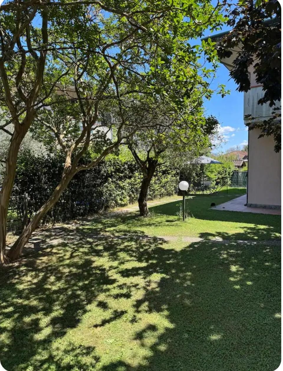 Garden view