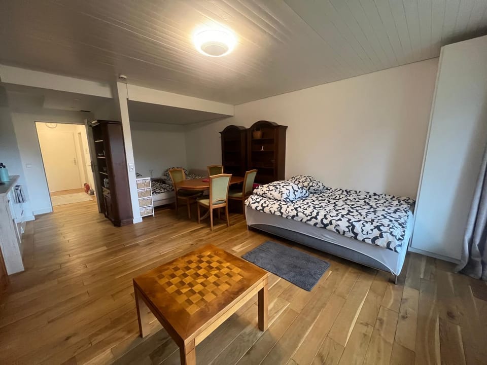 Beautiful apartment & pool Black Forest Häusern 5 people Apartment in Schluchsee