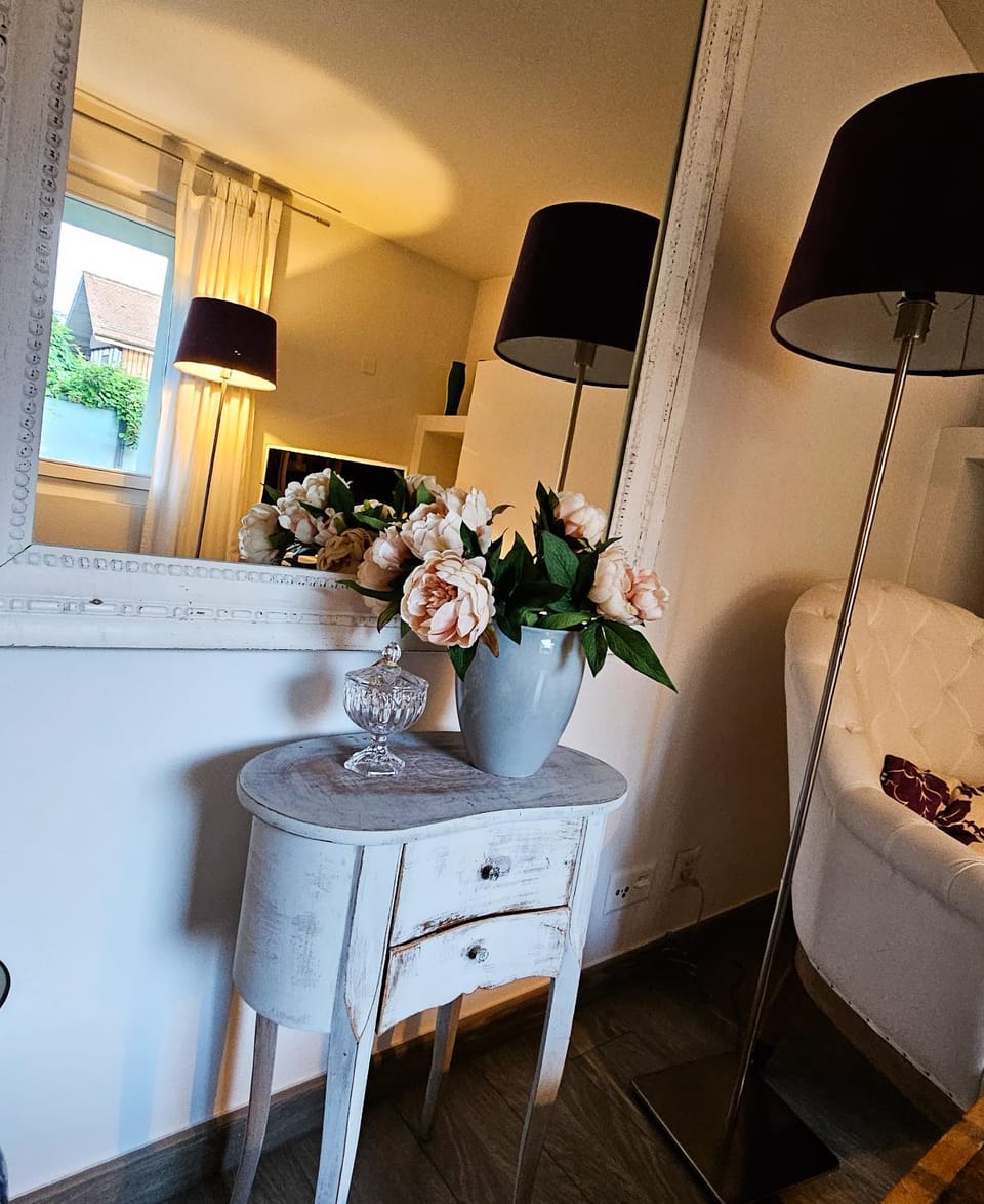 Wellness Apartment Steckborn Apartment in Gaienhofen