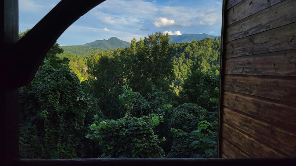 Best 3King EnSuites, Views, Game&Theater Rms, Pool House in Gatlinburg